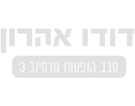 דודו אהרון